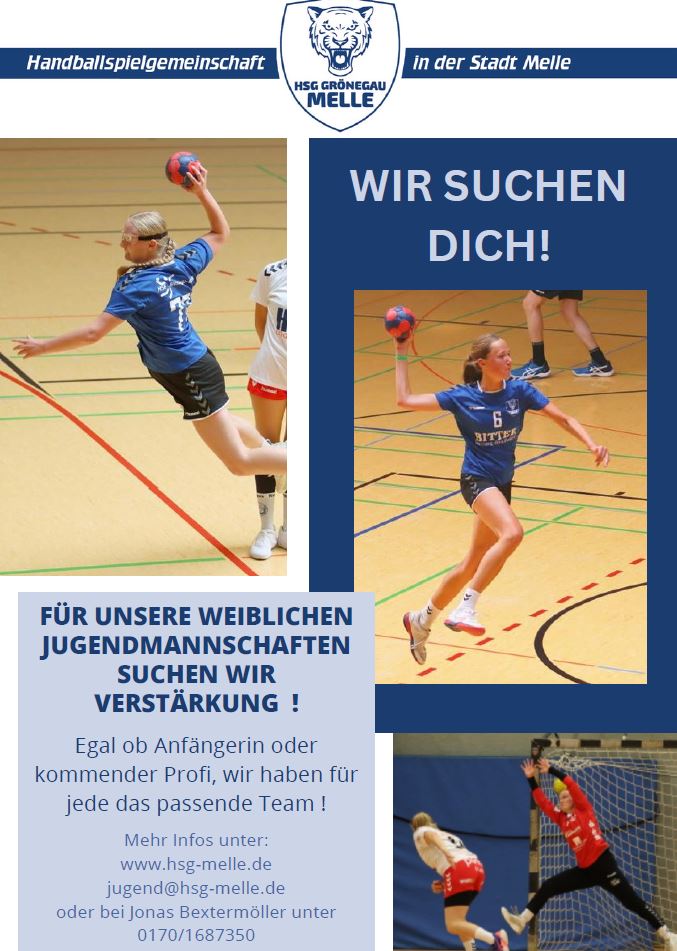 HSG Flyer Wir Suchen Dich