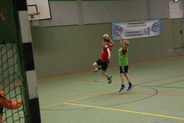 Handball MEJ TurnierHalle0301201651